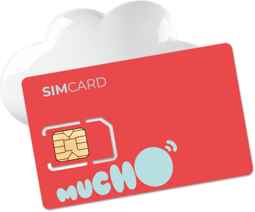 Carte SIM premier forfait mobile de mon enfant